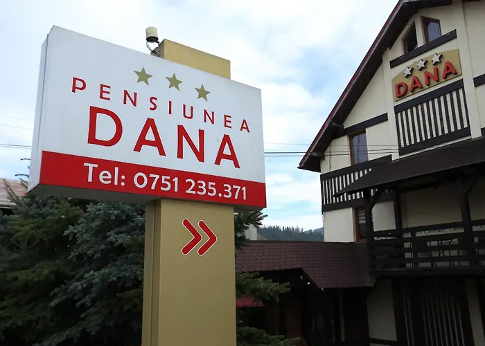 Pensiunea Dana Vatra Dornei